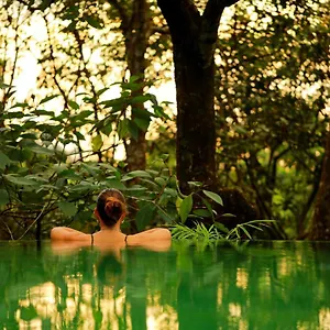 Wayanad Wild - A Cgh Earth Experience Resort